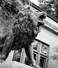 Lion Statue Lion Statue